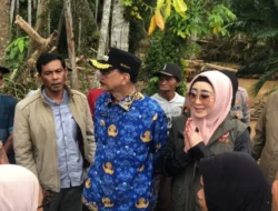 Usulan Lisda Hendrajoni, Tiga Jembatan di Pesisir Selatan Segera Dibangun BNPB RI